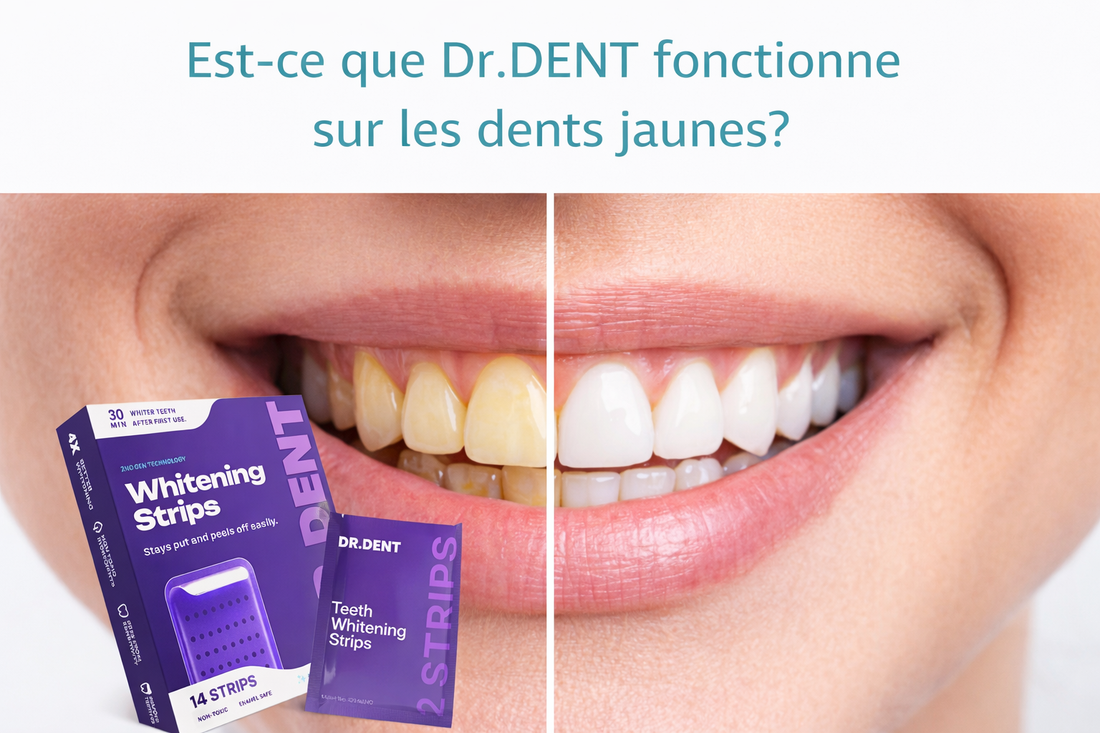 Est-ce que Puryana fonctionne sur les dents jaunes ?
